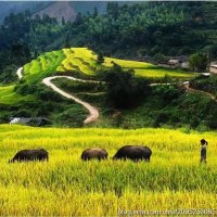 乡村旅游-中国最美的乡村-农家乐旅游